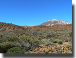 Teide